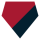 Houston Texans